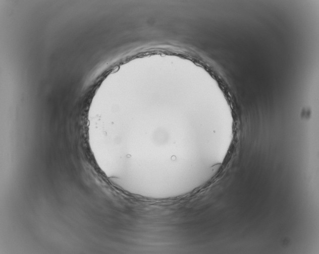 X0000112051496200909150950