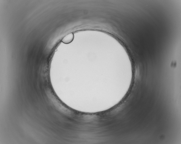 X0000112051498200909150950