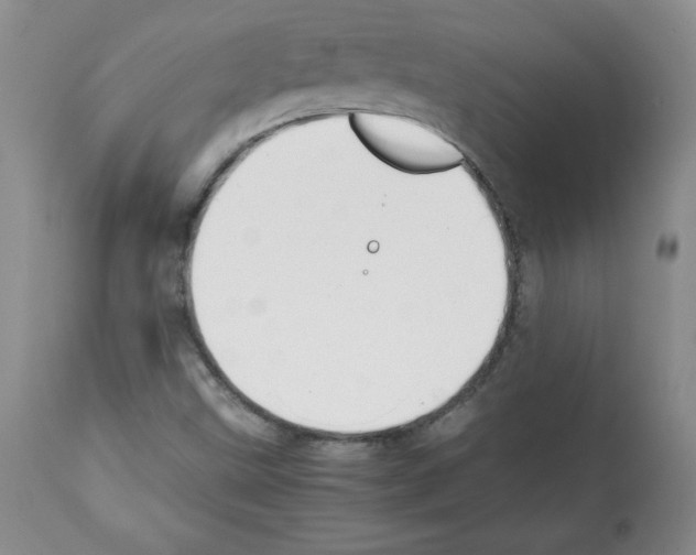 X0000112051499200909150950