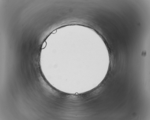 X0000112051500200909150950