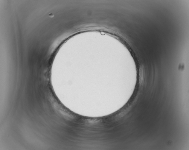 X0000112051501200909150950