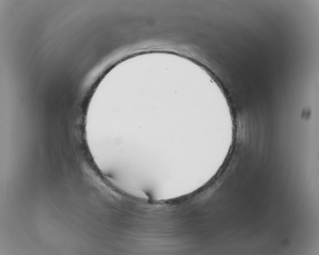 X0000112051502200909150950