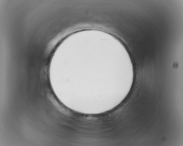 X0000112051503200909150950