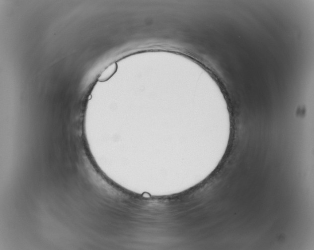 X0000112051504200909150950