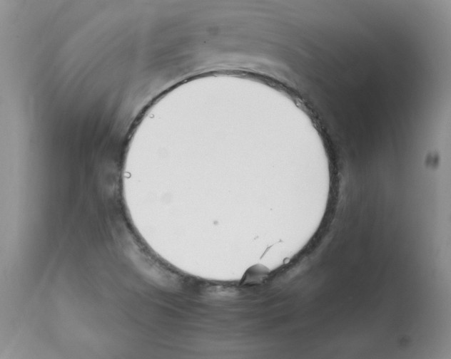 X0000112051505200909150950