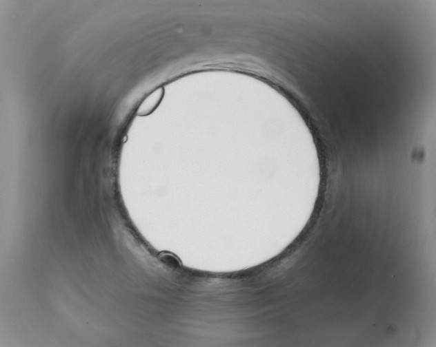 X0000112051506200909150950