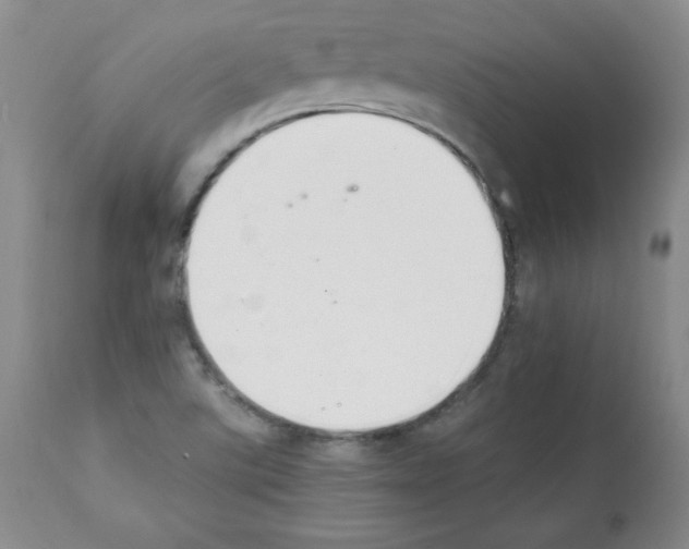 X0000112051507200909150950