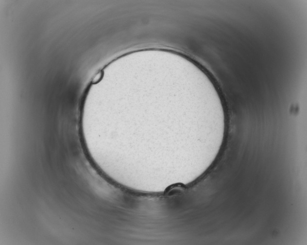 X0000112051508200909150950