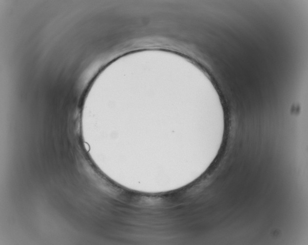 X0000112051509200909150950