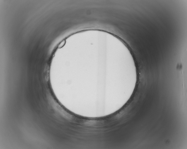 X0000112051510200909150950