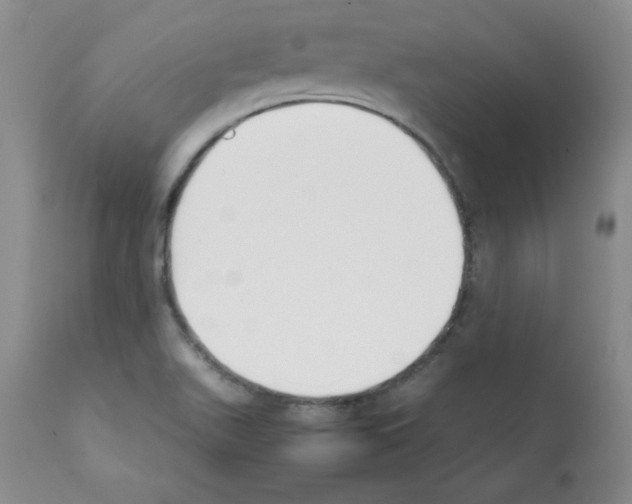 X0000112051511200909150950
