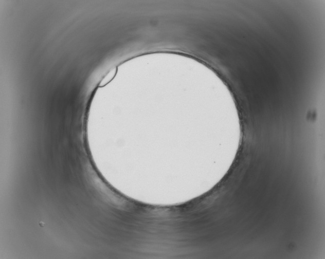X0000112051512200909150950