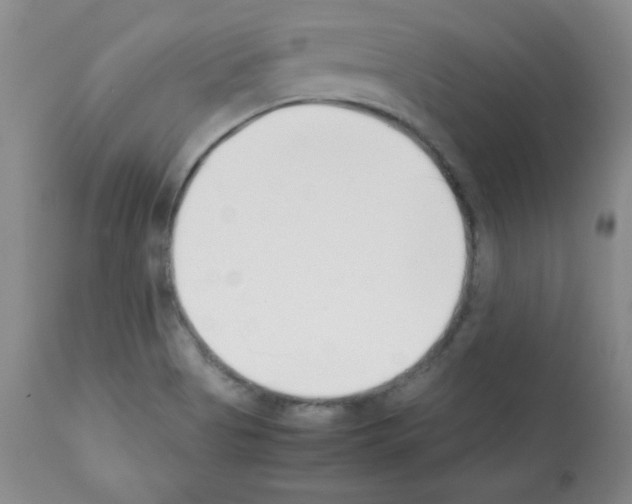 X0000112051513200909150950