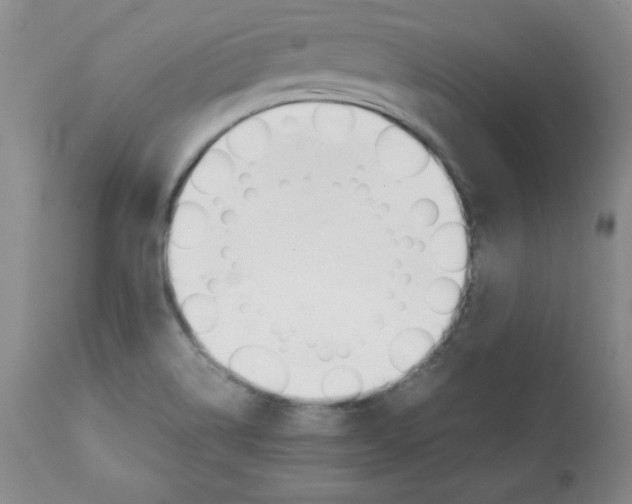 X0000112051514200909150950