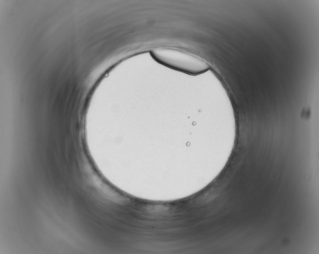X0000112051515200909150950