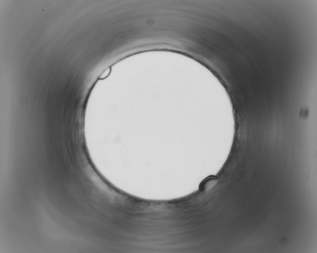 X0000112051516200909150950