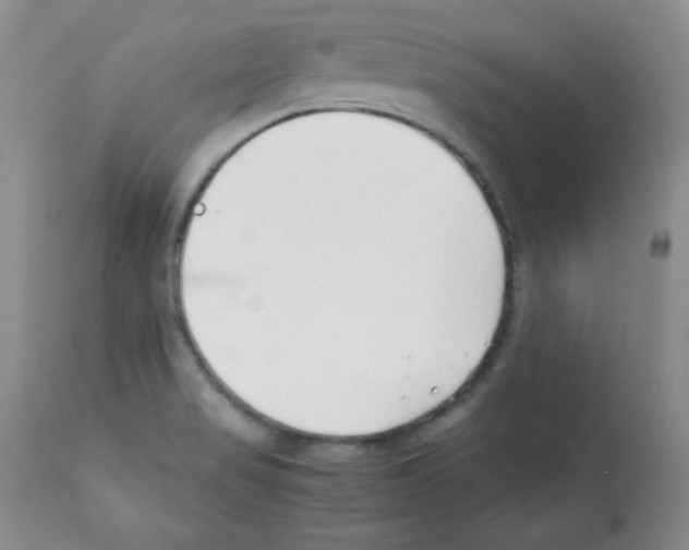 X0000112051517200909150950