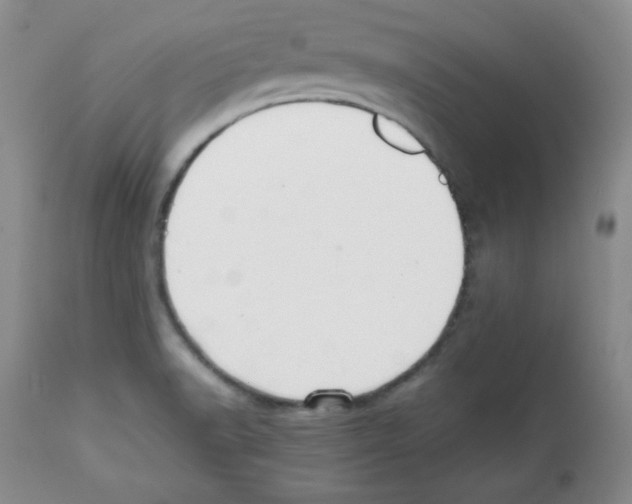 X0000112051518200909150950