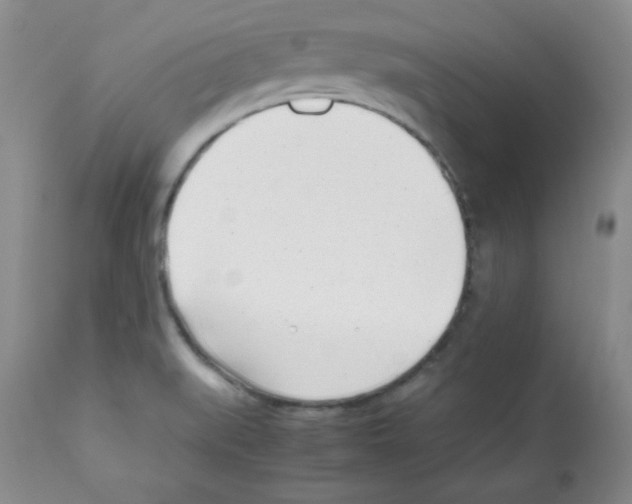 X0000112051519200909150951