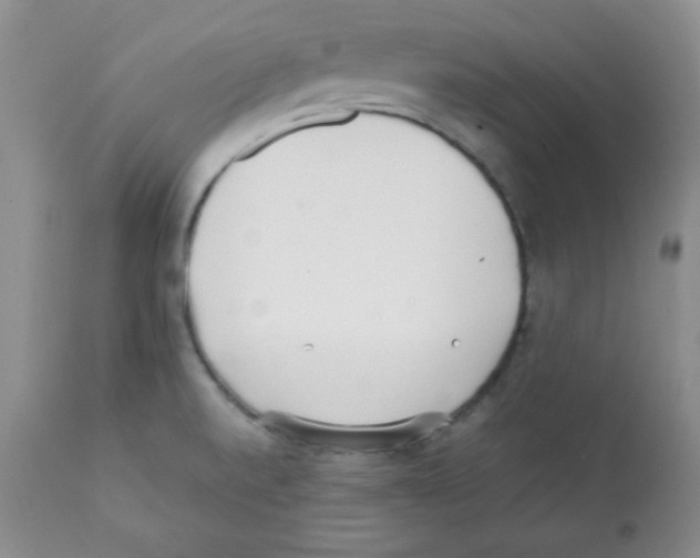 X0000112051520200909150951