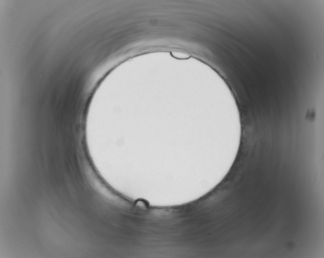 X0000112051523200909150951