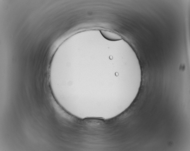X0000112051524200909150951