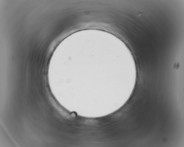 X0000112051525200909150951