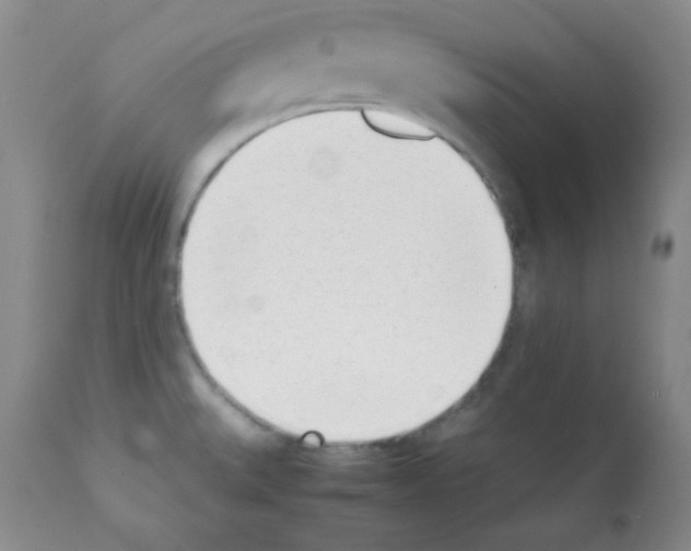 X0000112051527200909150951
