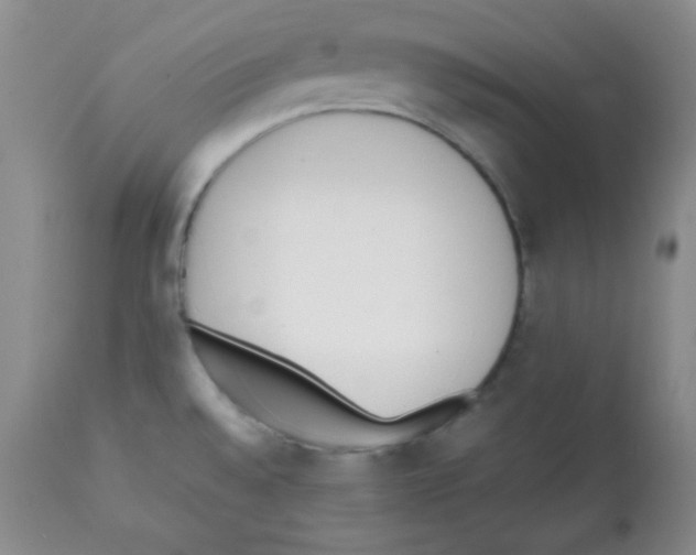 X0000112051528200909150951