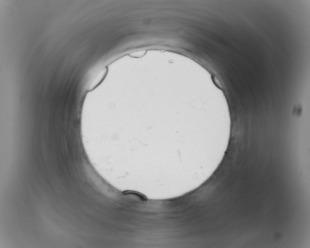 X0000112051532200909150951