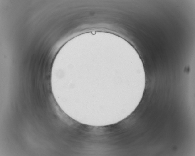 X0000112051534200909150951