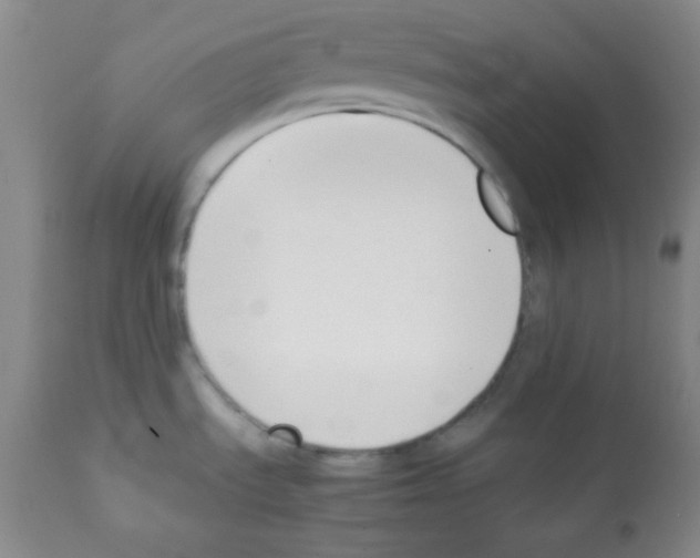 X0000112051535200909150951