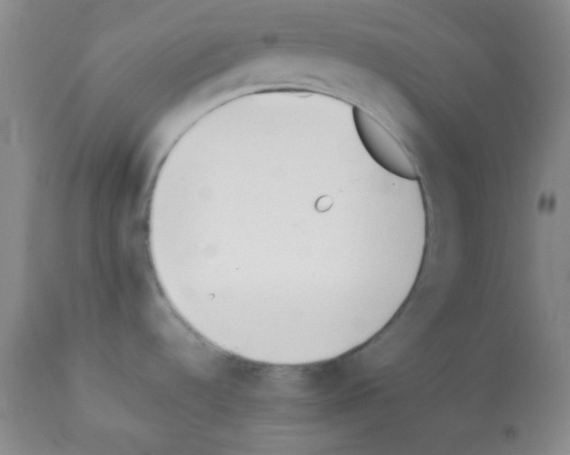X0000112051536200909150951