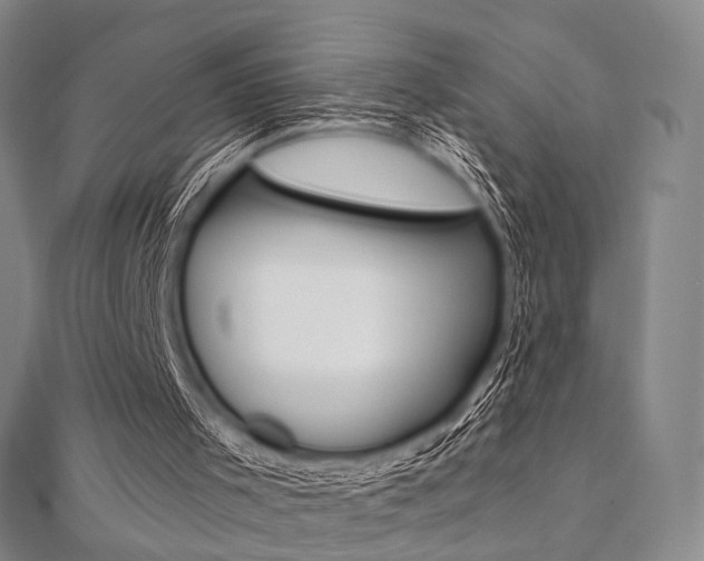 X0000112060001200908041021