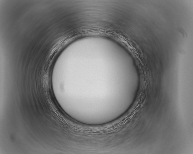 X0000112060002200908041021