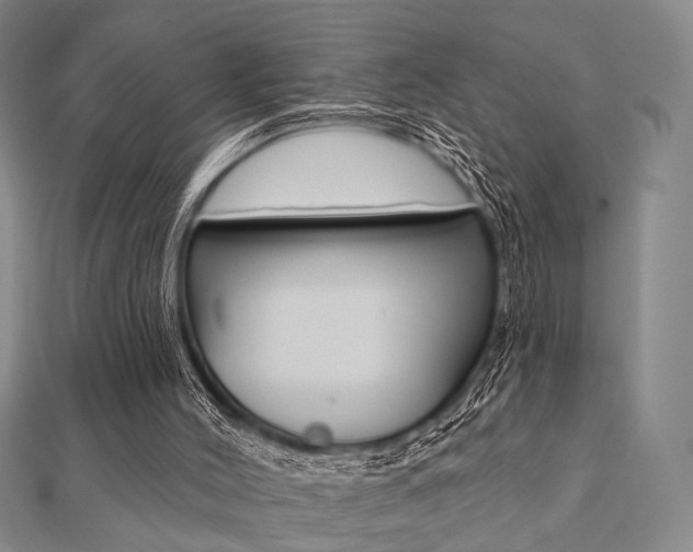 X0000112060004200908041021
