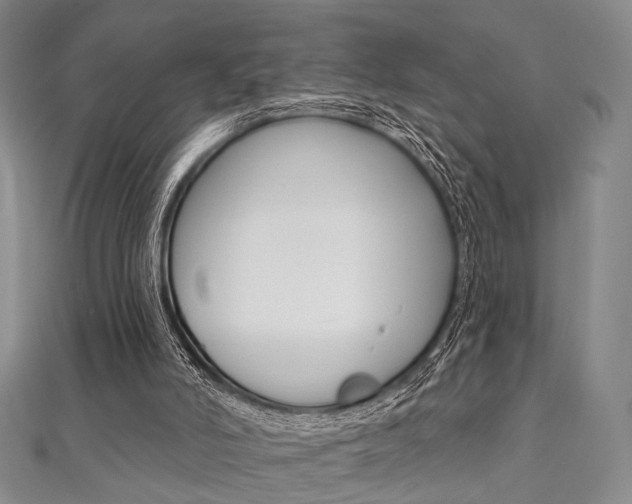 X0000112060006200908041021