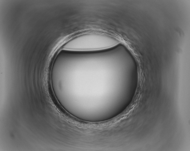 X0000112060007200908041021