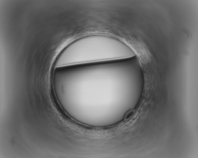 X0000112060008200908041021
