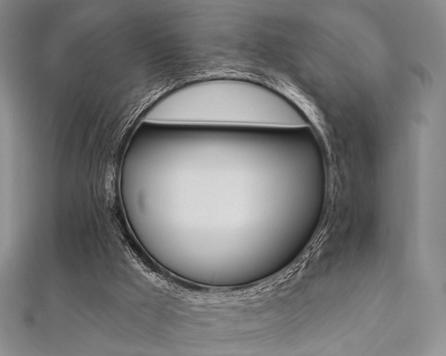 X0000112060009200908041021