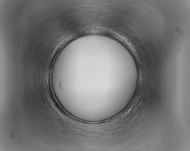 X0000112060010200908041021