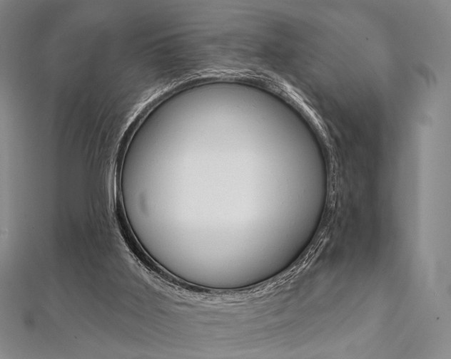 X0000112060011200908041021