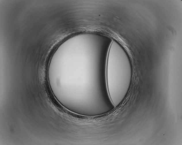 X0000112060012200908041021
