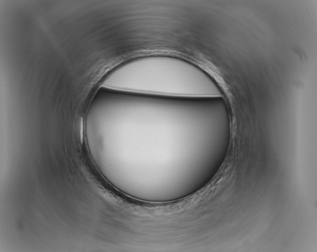 X0000112060013200908041021