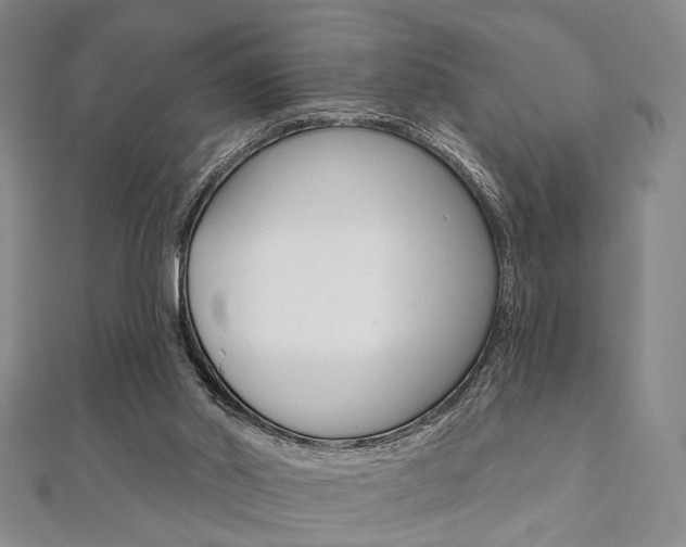 X0000112060014200908041021