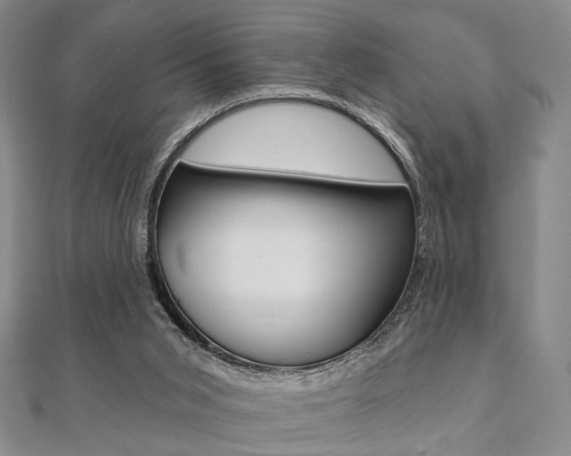 X0000112060015200908041021