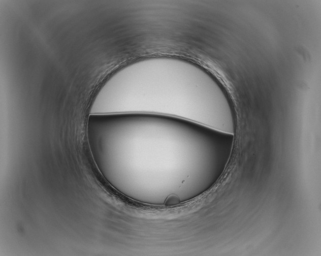 X0000112060017200908041021