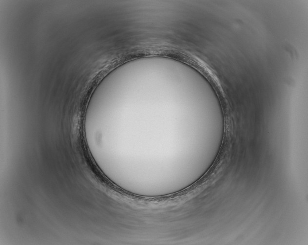 X0000112060018200908041021