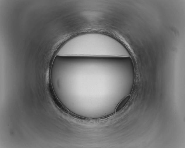 X0000112060019200908041021