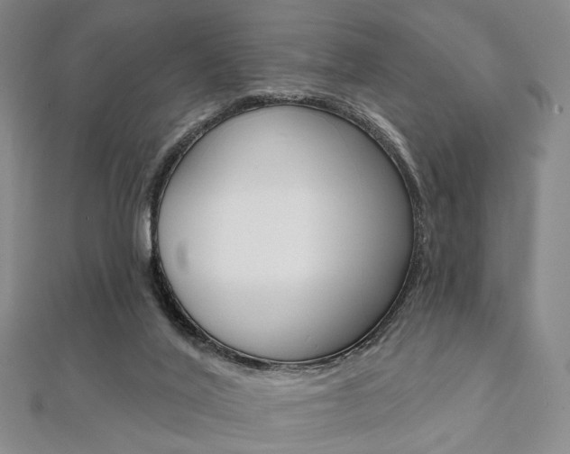 X0000112060020200908041021